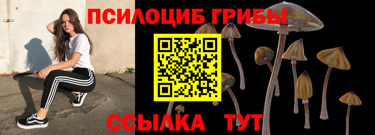Галлюциногенные грибы Psilocybe Армавир
