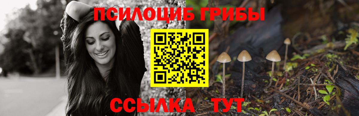 Галлюциногенные грибы мухоморы  продажа наркотиков  Армавир  Вход с VPN 